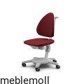 Maximo_Grau_Polster_Trend_Rot.jpg