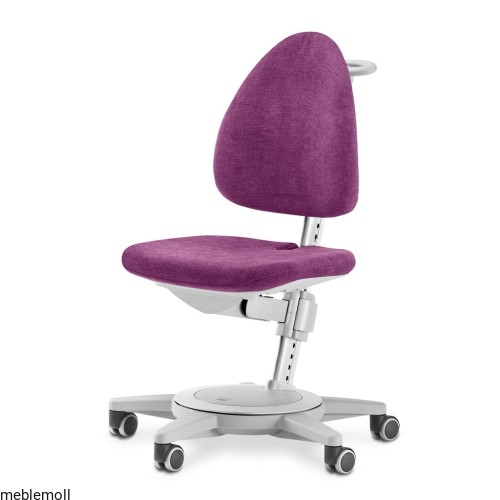 Maximo grey magnolia.jpg