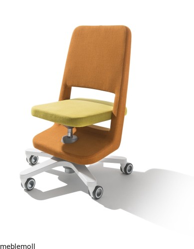S9 orange lemon.jpg