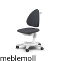 moll+Funktion+2020+F+prime+Maximo+web+1536.jpg