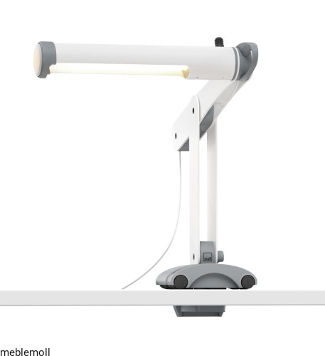 moll Funktion 2020 F prime Mobilight web 3526.jpg