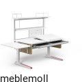 moll+Funktion+2020+F+prime+Champion+web+1102.jpg