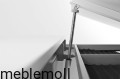 moll+Funktion+2020+D+prime++Champion+web+0231.jpg