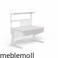 moll+Funktion+2020+D+prime+Winner+additions+web+2095.jpg