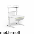 moll+Funktion+2020+D+prime+Winner+CP+additions+web+2107.jpg