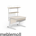 moll+Funktion+2020+D+prime+Winner+CP+additions+web+2106.jpg