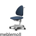 Maximo_Grau_Polster_Trend_Blau.jpg