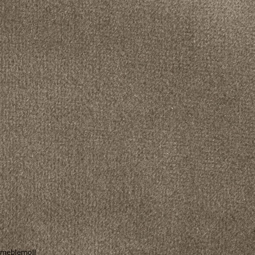moll_stoffe_2023_prime_soft_mocca804.jpg