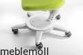 moll Funktion 2020 D prime Maximo web 0283.jpg