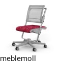 moll Funktion 2020 F prime scooter grau classic web 0017.jpg