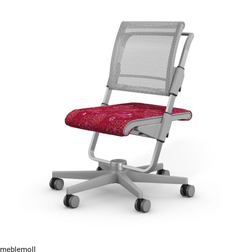 moll Funktion 2020 F prime scooter grau classic web 0017.jpg