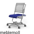 moll Funktion 2020 F prime scooter grau classic web 0005.jpg