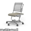 moll Funktion 2020 F prime scooter grau trend web 0102(1).jpg
