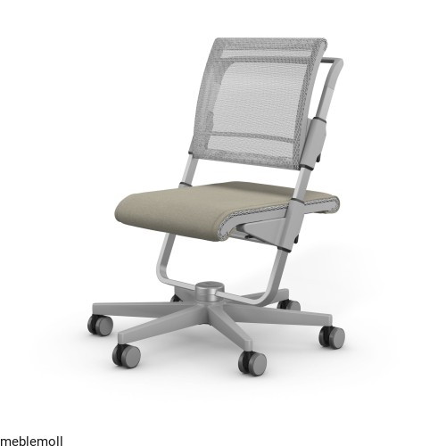 moll Funktion 2020 F prime scooter grau trend web 0102(1).jpg