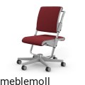 Scooter_Grau_Rot-HintergrundWeiss.jpg