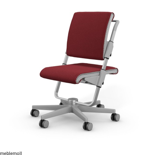 Scooter_Grau_Rot-HintergrundWeiss.jpg