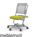 moll Funktion 2020 F prime scooter grau trend web 0104.jpg