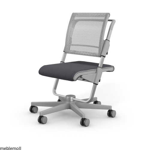 moll Funktion 2020 F prime scooter grau trend web 0100(1).jpg