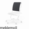 moll Funktion 2020 D prime Scooter back cushion trend web 2032.jpg