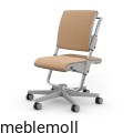 Scooter_Grau_Caramel-HintergrundWeiss.jpg