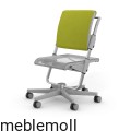 moll Funktion 2020 F prime scooter grau trend web 0105.jpg