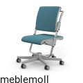 moll Funktion 2020 F prime Scooter grau trend web 2013.jpg