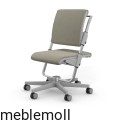 moll Funktion 2020 F prime scooter grau trend web 0119.jpg