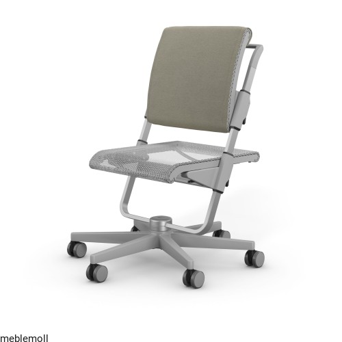 moll Funktion 2020 F prime scooter grau trend web 0103.jpg