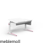 Biurko regulowane Moll Champion Slim