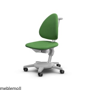 Krzesło regulowane dla dzieci Maximo grey ted maygreen