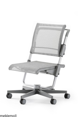 Scooter grey