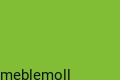 moll_champion_gruen.jpg
