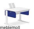 champion cp blue.jpg