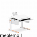 moll_champion_compact_Riesenschublade_schraegstellung_hoehenverstellbarer_ergonomischer_kinderschreibtisch_jugendschreibtisch.jpg