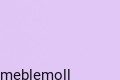 moll_champion_flieder.jpg