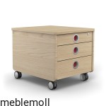 Kontener Pro dąb