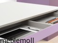 moll unique T7 elektrisch hoehenverstellbar Schreibtisch Schublade Detail2.jpg