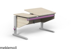 Biurko regulowane Moll Winner Split classic klon zabielony